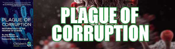 plagueofcorruption600x169.jpg